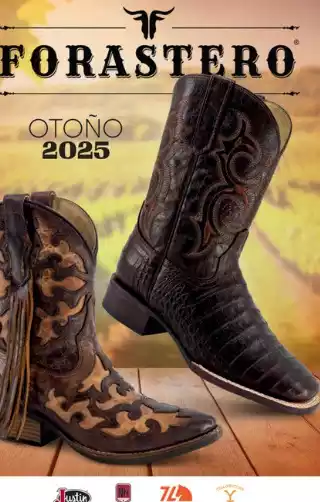 Catalogo Forastero Andrea 2025 Otoño
